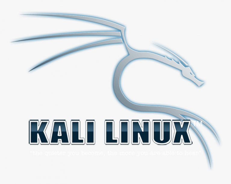 kali linux pi zero install